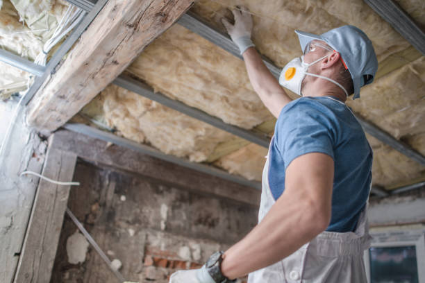 Best Spray Foam Insulation in Strasburg, VA
