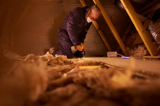 Professional Insulation Contractor in Strasburg, VA